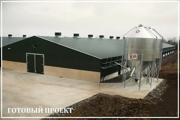 Этапы возведения птицефабрики от завода ВелесТент-крв